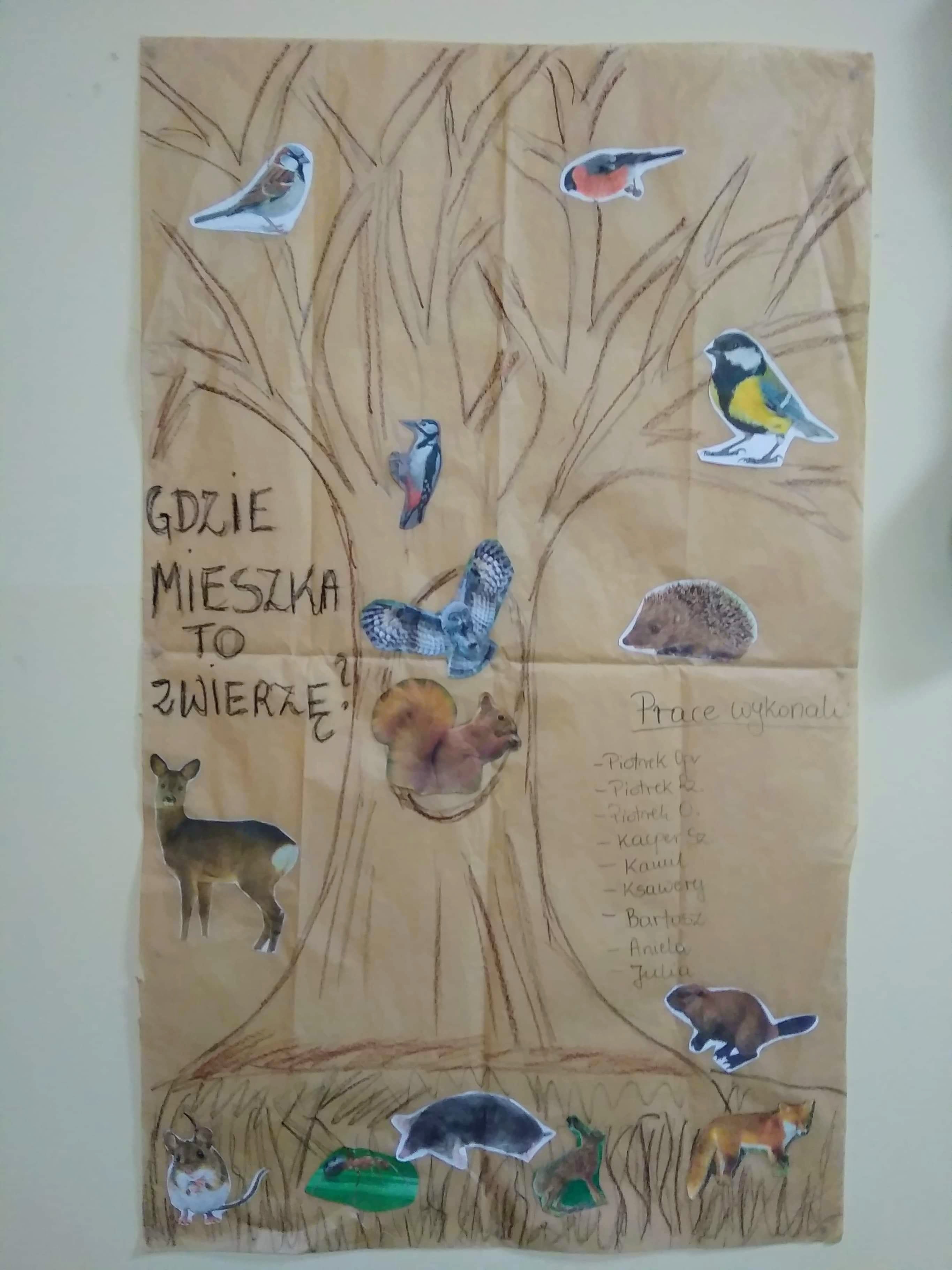 Zwierzęta z naszych pól i lasów