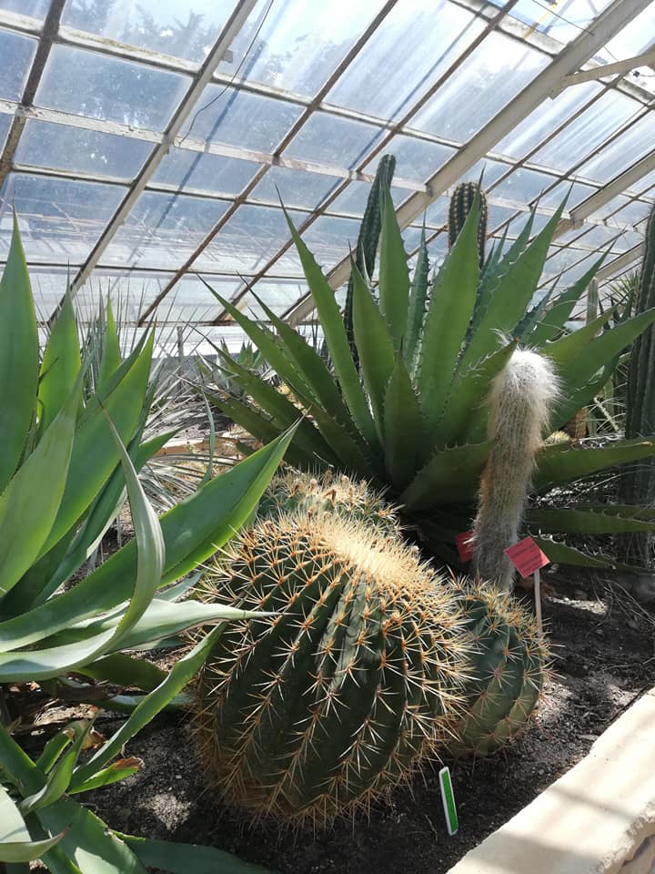 Ogród Botaniczny