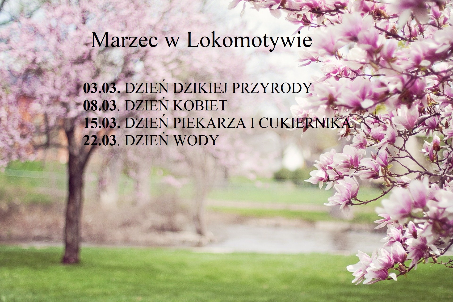 Rozkład jazdy na miesiąc marzec