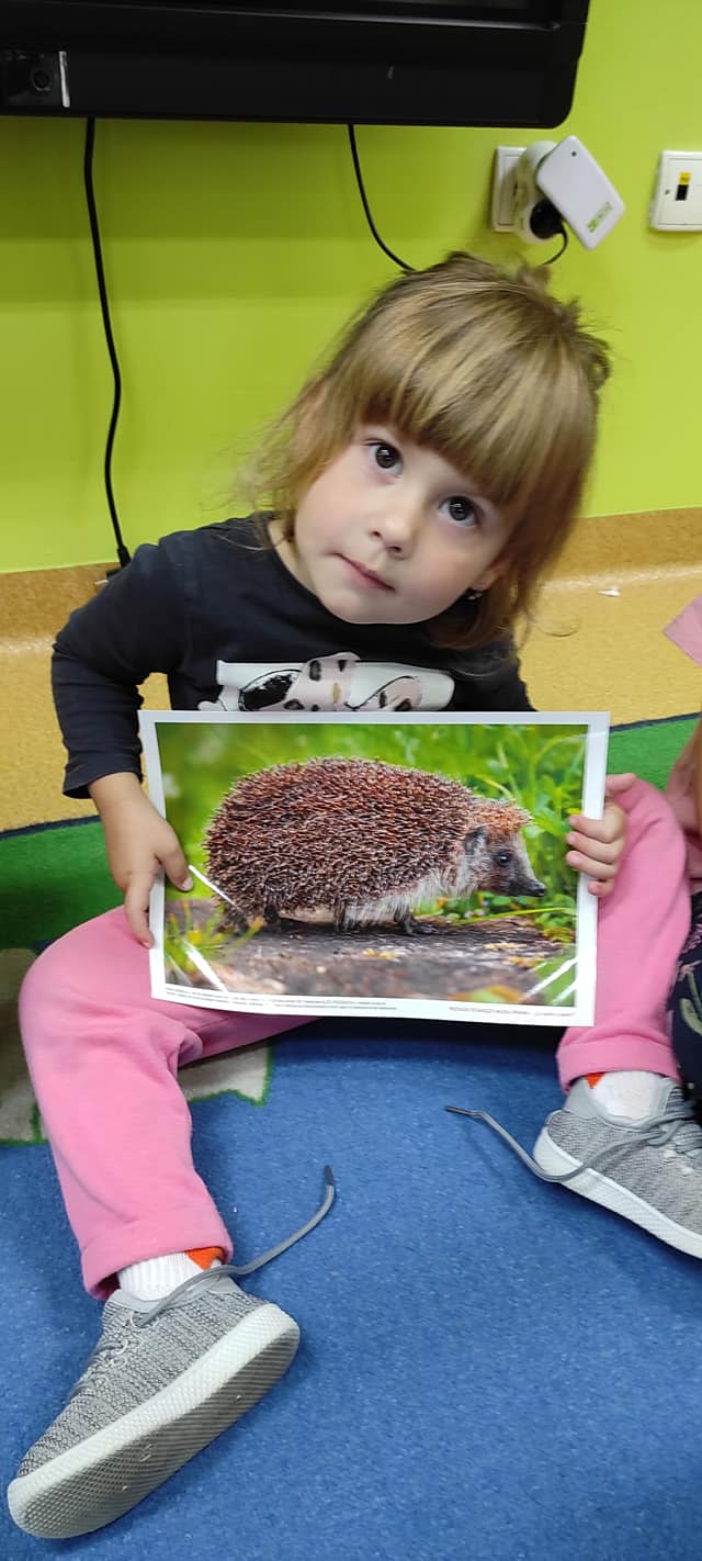 Nadeszła jesień !