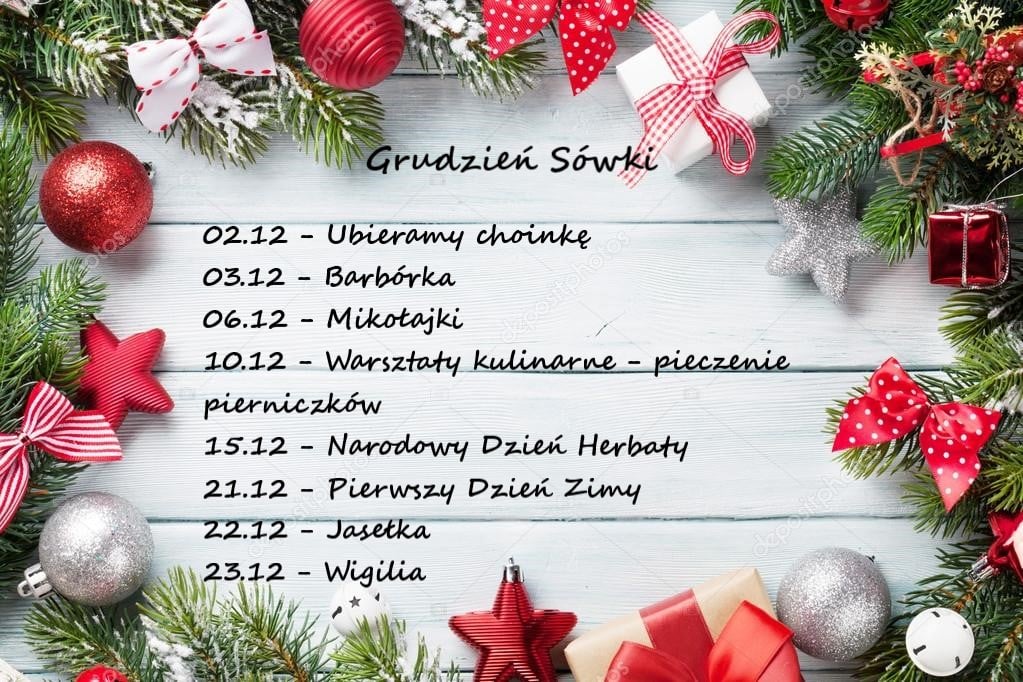 Atrakcje w grudniu - Sówki