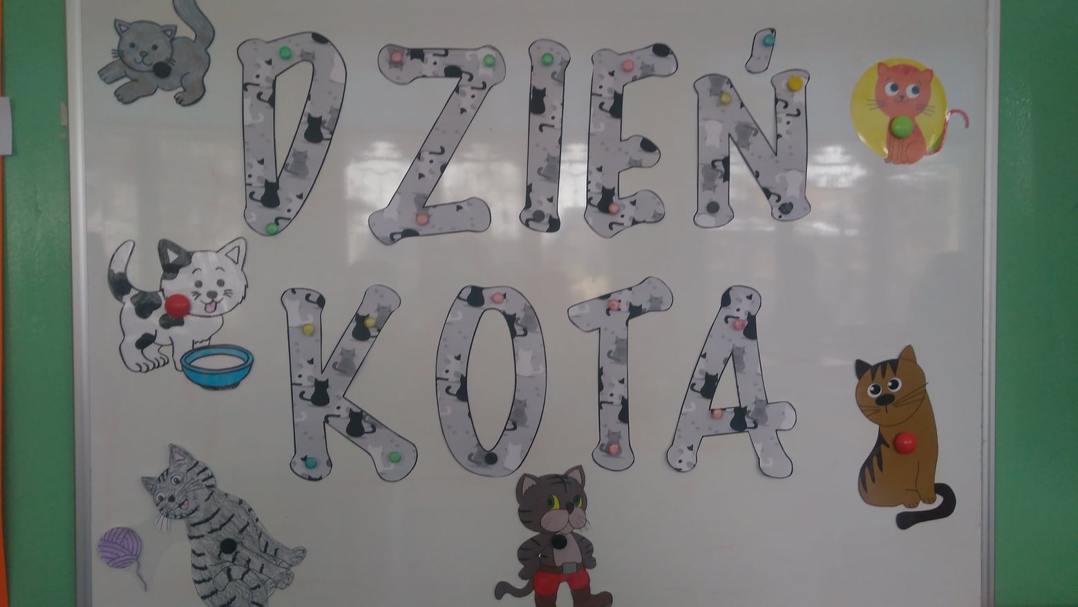 Dzień Kota