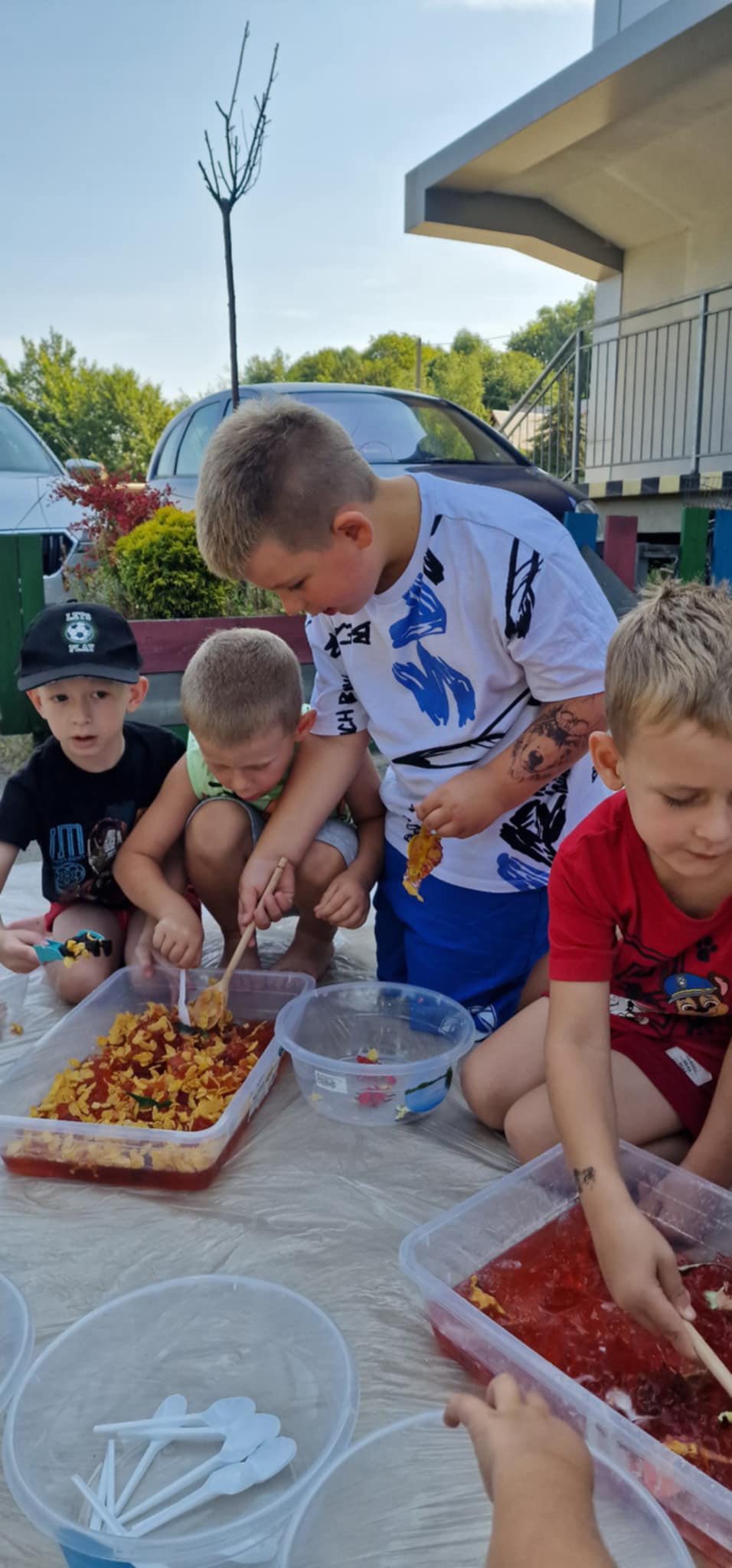 Sesnoplastyka w Bochni - wrzesień 2025