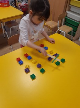 IMG-20250226-WA0529