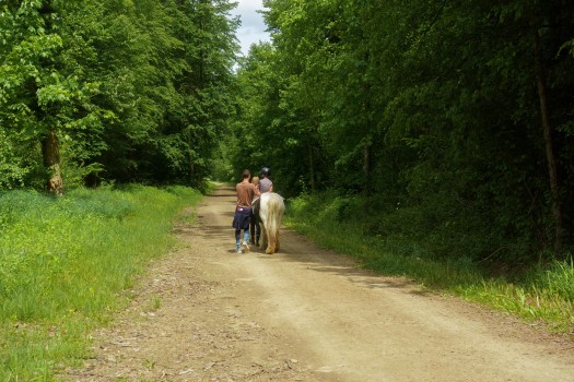 Wisniowieckiego (32)