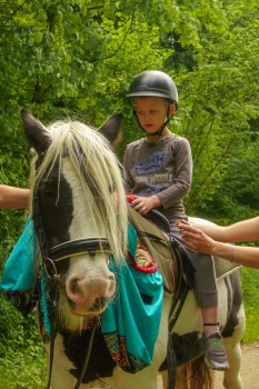 Wisniowieckiego (34)