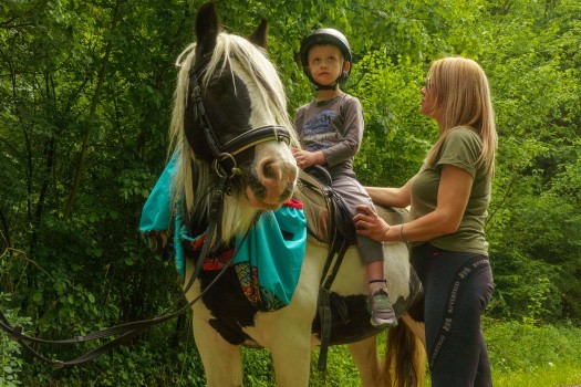 Wisniowieckiego (35)